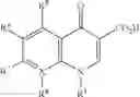 Fig. 02 - Quinolone dispersions