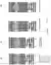 Fig. 16 - Integrated photodetector with charge storage bin of varied detection time