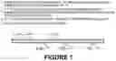Fig. 02 - Compositions and Methods for Nucleic Acid Quality Determination