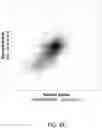 Fig. 09 - NOVEL MUTATIONS THAT ENHANCE THE DNA CLEAVAGE ACTIVITY OF ACIDAMINOCOCCUS SP. CPF1