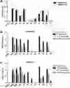 Fig. 01 - BRARTEMICIN ANALOGUES