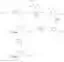 Fig. 27 - BRARTEMICIN ANALOGUES
