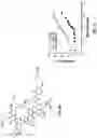Fig. 09 - A GENETICALLY ENCODED, PHAGE-DISPLAYED CYCLIC PEPTIDE LIBRARY AND METHODS OF MAKING THE SAME