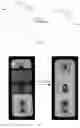 Fig. 04 - WELD QUALITY INSPECTION METHOD, APPARATUS AND SYSTEM, AND ELECTRONIC DEVICE