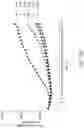 Fig. 71 - BINDING PROTEINS SPECIFIC FOR RAS NEOANTIGENS AND USES THEREOF