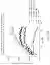 Fig. 76 - BINDING PROTEINS SPECIFIC FOR RAS NEOANTIGENS AND USES THEREOF