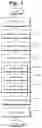 Fig. 02 - FISH BLEEDING METHOD, FISH PRODUCTION METHOD AFTER BLEEDING TREATMENT, FISH AFTER BLEEDING TREATMENT AND FISH BLEEDING APPARATUS