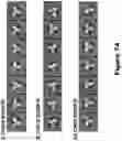 Fig. 167 - Compositions comprising modified HIV envelopes