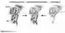 Fig. 48 - Compositions comprising modified HIV envelopes
