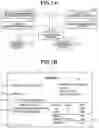 Fig. 02 - IMAGE PROCESSING APPARATUS, IMAGE PROCESSING METHOD, AND NON-TRANSITORY STORAGE MEDIUM