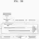 Fig. 06 - METHOD OF DETECTING ERP SIGNAL BASED ON HEART-RATE EVOKED POTENTIAL