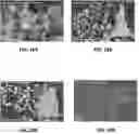 Fig. 22 - Products comprising 1,2,3-triazolate metal-organic frameworks and methods of making and using the same