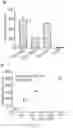 Fig. 28 - FUSION PROTEIN AND METHOD OF DETECTING BACTERIA HAVING PSEUDAMINIC ACID