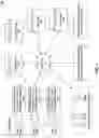 Fig. 02 - Systems and methods to check-in shoppers in a cashier-less store