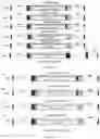 Fig. 08 - NOVEL PLATFORMS FOR CO-STIMULATION, NOVEL CAR DESIGNS AND OTHER ENHANCEMENTS FOR ADOPTIVE CELLULAR THERAPY