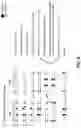 Fig. 05 - METHODS AND APPARATUSES FOR RAMAN ADDRESSING OF DISJOINTED TRANSITION SETS IN D-MANIFOLD