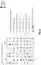Fig. 10 - METHODS AND APPARATUSES FOR RAMAN ADDRESSING OF DISJOINTED TRANSITION SETS IN D-MANIFOLD