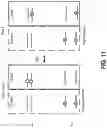 Fig. 12 - METHODS AND APPARATUSES FOR RAMAN ADDRESSING OF DISJOINTED TRANSITION SETS IN D-MANIFOLD