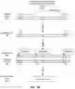 Fig. 09 - Methylation markers and targeted methylation probe panel