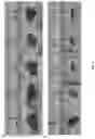 Fig. 05 - PLANT-BASED PRODUCT