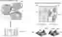 Fig. 01 - SPATIAL FEATURE ANALYSIS FOR DIGITAL PATHOLOGY IMAGES