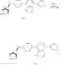 Fig. 488 - PYRIDAZINE DERIVATIVES FOR MODULATING NUCLEIC ACID SPLICING