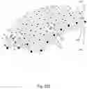 Fig. 48 - Low-density structured materials and methods of making and using same