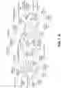 Fig. 08 - Image signal processing pipelines for high dynamic range sensors