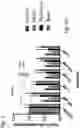 Fig. 02 - Compositions and methods for the treatment and prevention of vascular malformations