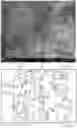 Fig. 09 - METHOD FOR MAKING FLAKES