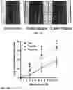 Fig. 06 - METHODS OF AND APPARATUS FOR TREATMENT WITH FLASH RADIOTHERAPY