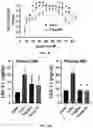Fig. 07 - METHODS OF AND APPARATUS FOR TREATMENT WITH FLASH RADIOTHERAPY