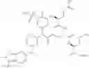Fig. 443 - NOVEL COMPOUNDS AND COMPOSITION FOR TARGETED THERAPY OF KIDNEY-ASSOCIATED CANCERS