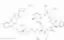 Fig. 473 - NOVEL COMPOUNDS AND COMPOSITION FOR TARGETED THERAPY OF KIDNEY-ASSOCIATED CANCERS