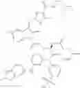 Fig. 59 - NOVEL COMPOUNDS AND COMPOSITION FOR TARGETED THERAPY OF KIDNEY-ASSOCIATED CANCERS
