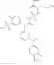 Fig. 60 - NOVEL COMPOUNDS AND COMPOSITION FOR TARGETED THERAPY OF KIDNEY-ASSOCIATED CANCERS