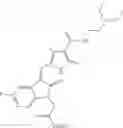 Fig. 61 - NOVEL COMPOUNDS AND COMPOSITION FOR TARGETED THERAPY OF KIDNEY-ASSOCIATED CANCERS