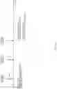 Fig. 10 - Terminal, radio communication method, and base station