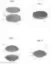 Fig. 02 - COMPOSTABLE MATERIAL FOR PACKAGING FOOD PRODUCTS