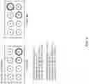 Fig. 06 - TERMINAL, RADIO COMMUNICATION METHOD, AND BASE STATION