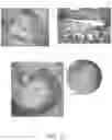 Fig. 17 - DEVICES AND METHODS FOR TREATING A FISTULA