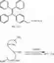 Fig. 05 - POLYPEPTIDE MONOLAYER WITH HIGH POTENTIAL AND HYDROPHOBICITY, AND PREPARATION METHOD AND APPLICATION THEREOF