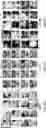 Fig. 08 - System and method for determining a facial expression