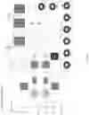 Fig. 07 - SAFETY INTEGRITY LEVEL RATED CONTROLS FOR ALL-ELECTRIC BOP