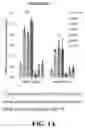 Fig. 02 - COMPOSITIONS AND METHODS FOR MODULATING RPGR EXPRESSION