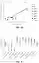 Fig. 08 - COMPOSITIONS AND METHODS FOR MODULATING RPGR EXPRESSION
