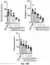 Fig. 35 - COMPOSITIONS AND METHODS FOR MODULATING RPGR EXPRESSION