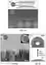 Fig. 02 - Composition comprising self-stratifying amphiphilic Janus particles