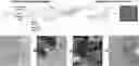 Fig. 01 - BIODEGRADABLE POLYMER-GELATIN HYDROGEL COMPOSITE, METHOD FOR MANUFACTURING SAME, AND MEDICAL IMPLANT COMPRISING BIODEGRADABLE POLYMER-GELATIN HYDROGEL COMPOSITE