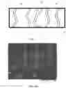Fig. 02 - BOILING ASSISTED CHANNEL TEMPLATING FOR ADSORBENT COATING FABRICATION